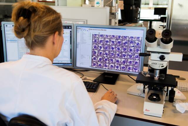 medewerker bekijkt op computer de cellen van het uitstrijkje