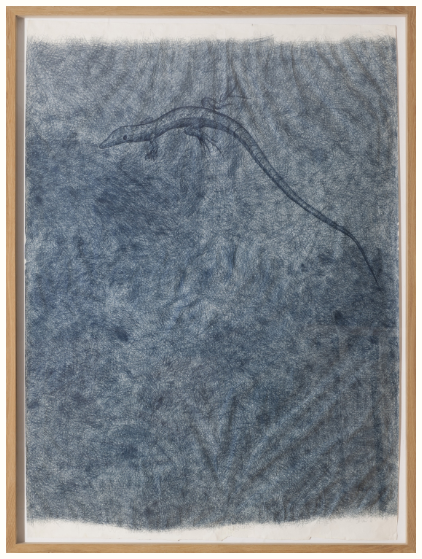 Donkerblauwe tekening met hagedis in houten lijst