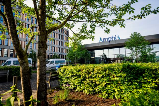 amphia stz