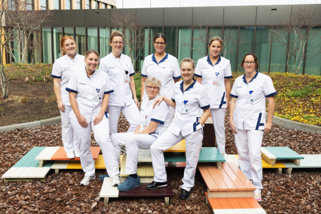 Het team