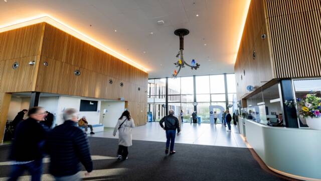 Nieuw: kunstwerk ‘Levensboom’ in de centrale hal van Amphia Breda van Gijs Assmann