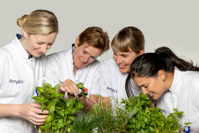 Amphia komt in actie