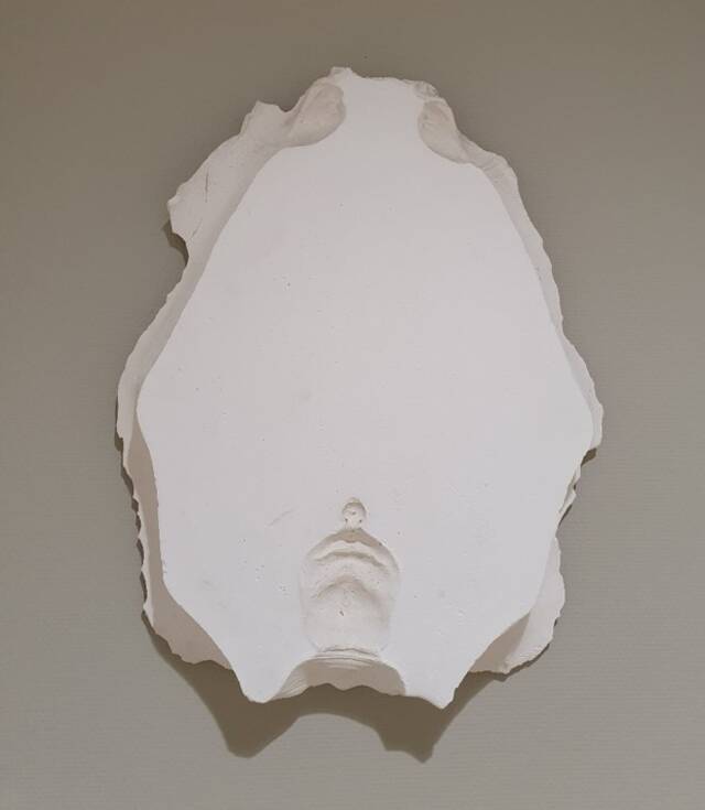 Gipsen plaat met relief
