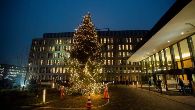 Kerstconcert