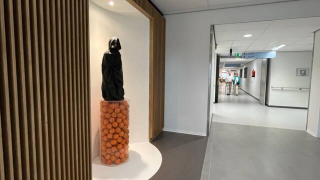 Kunstwerk: Hans van den Ban - Pleurant des Oranges (1991)