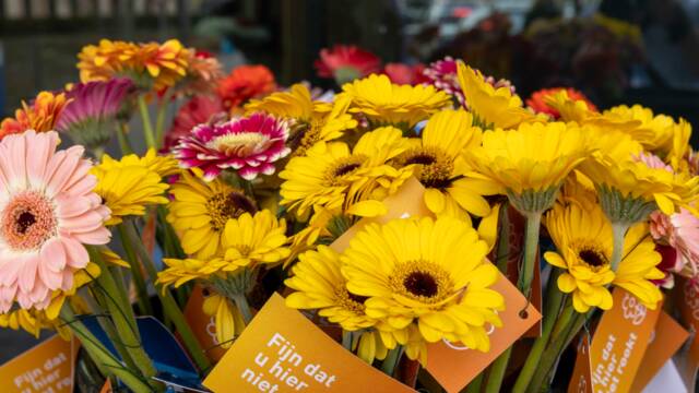 Gerbera’s voor niet-rokers: Wat fijn dat u hier niet rookt!